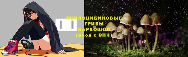 прущие крисы Алексеевка