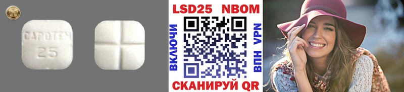 как найти наркотики  Жиздра  Лсд 25 экстази кислота 