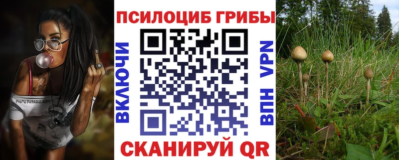 Псилоцибиновые грибы Cubensis Жиздра