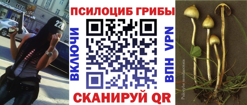 нарко площадка Telegram  купить закладку  Жиздра  Псилоцибиновые грибы прущие грибы 